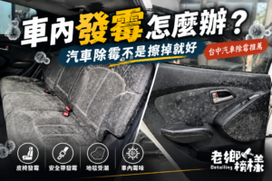 Read more about the article 汽車除霉怎麼處理？車內發霉、霉味原因與清潔方法｜台中汽車除霉推薦
